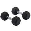 Hexagonal Dumbbells Kit Weight Lifting Exercise for Home Fitness 2x8kg HOMCOM